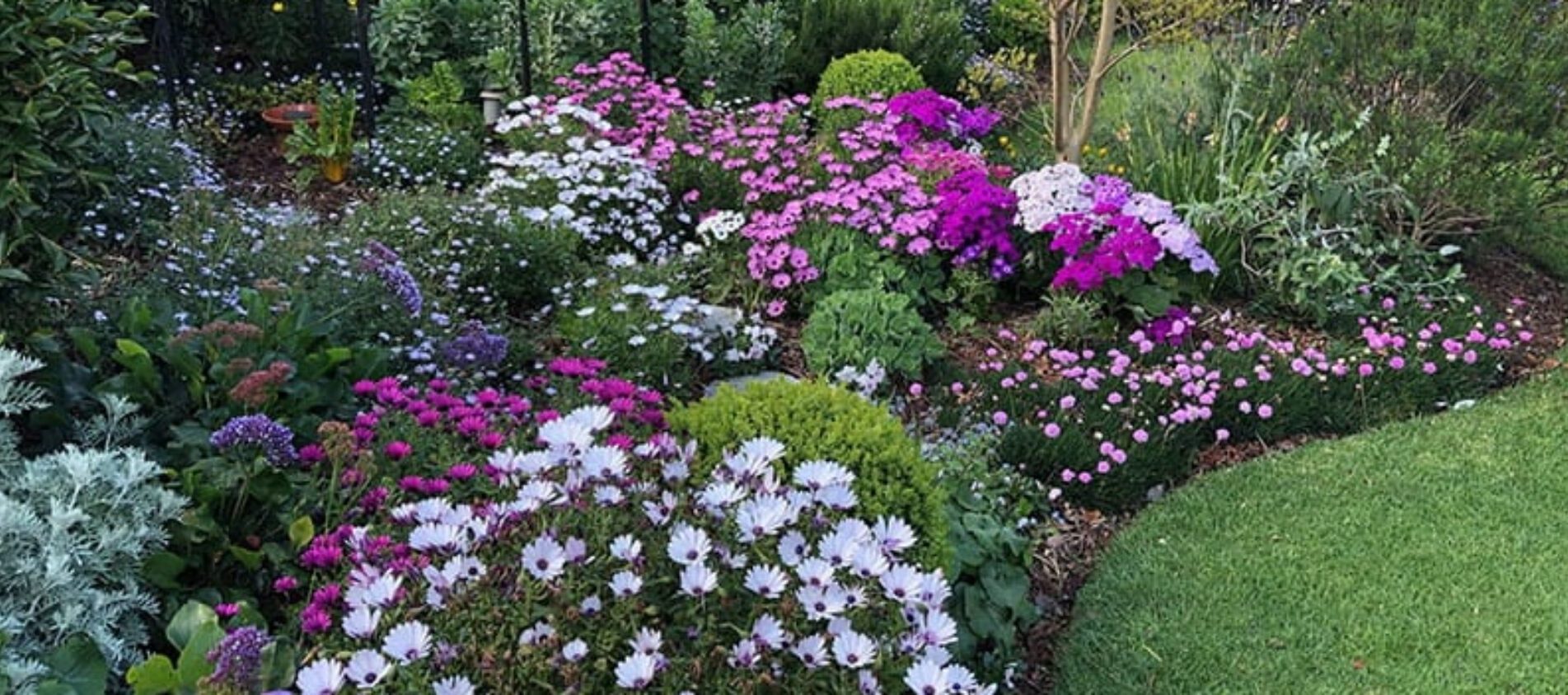Welcome to the Ivanhoe Garden Club