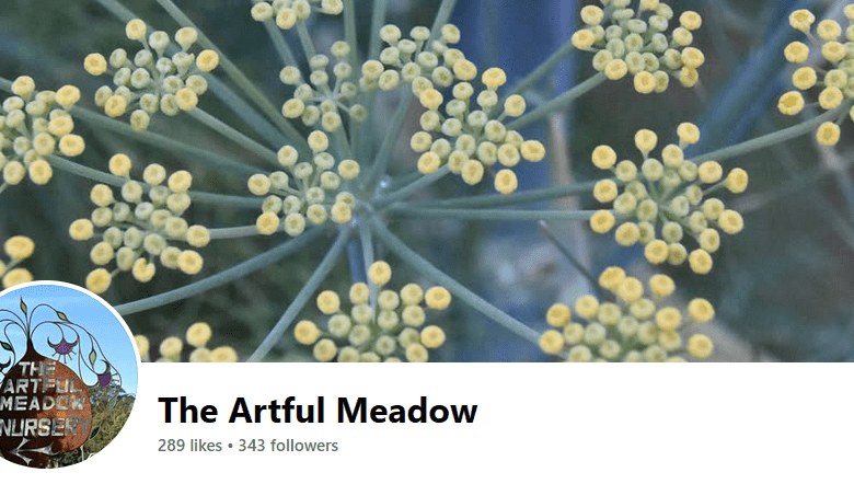 artful meadow