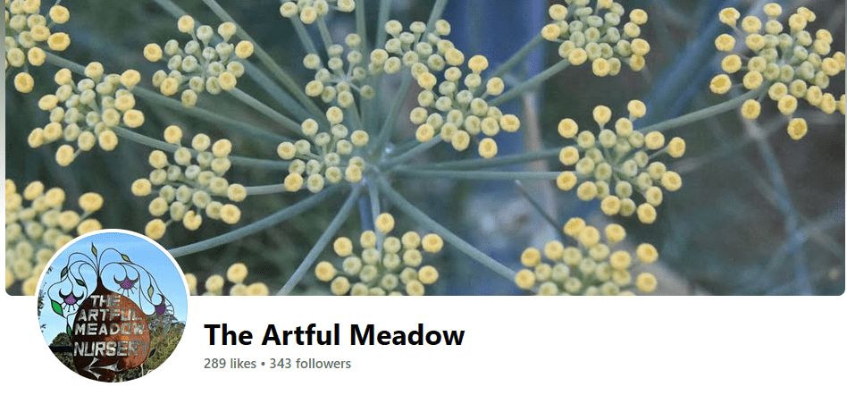 artful meadow