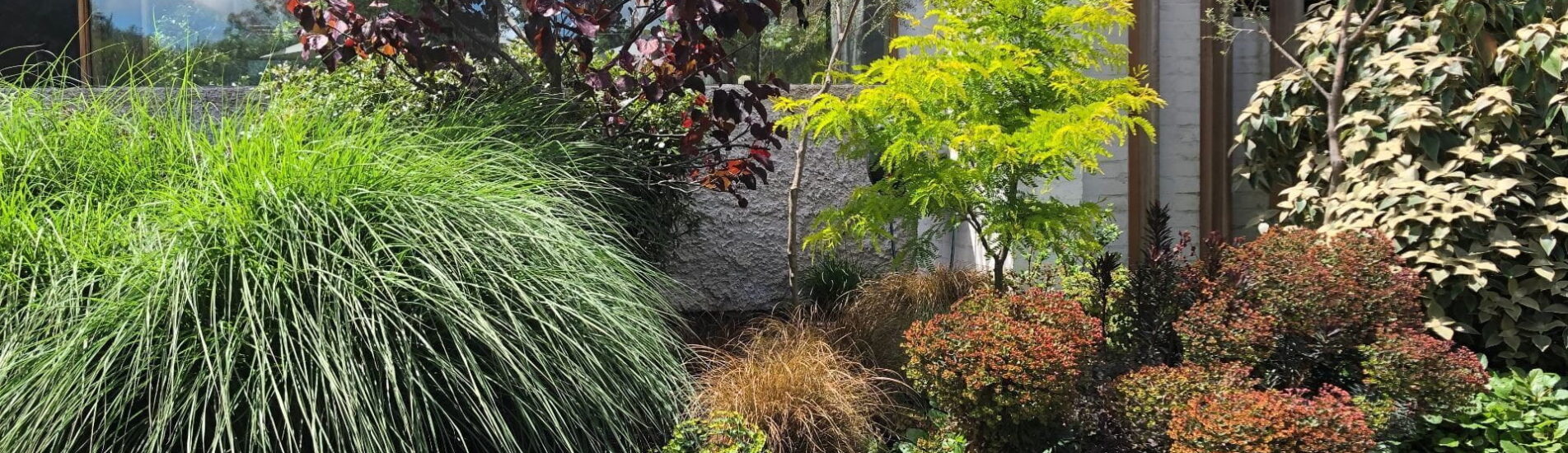 third garden two