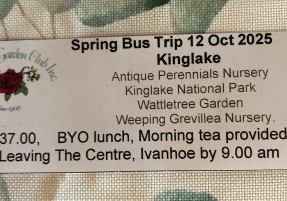 bus ticket 2025