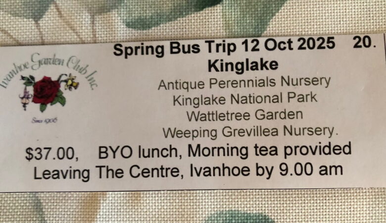bus ticket 2025